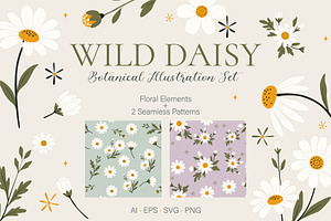 Wild Daisy Floral Set & Patterns