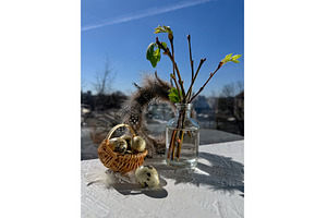 Spring still life with quail eggs in, a Photo by tilialucida