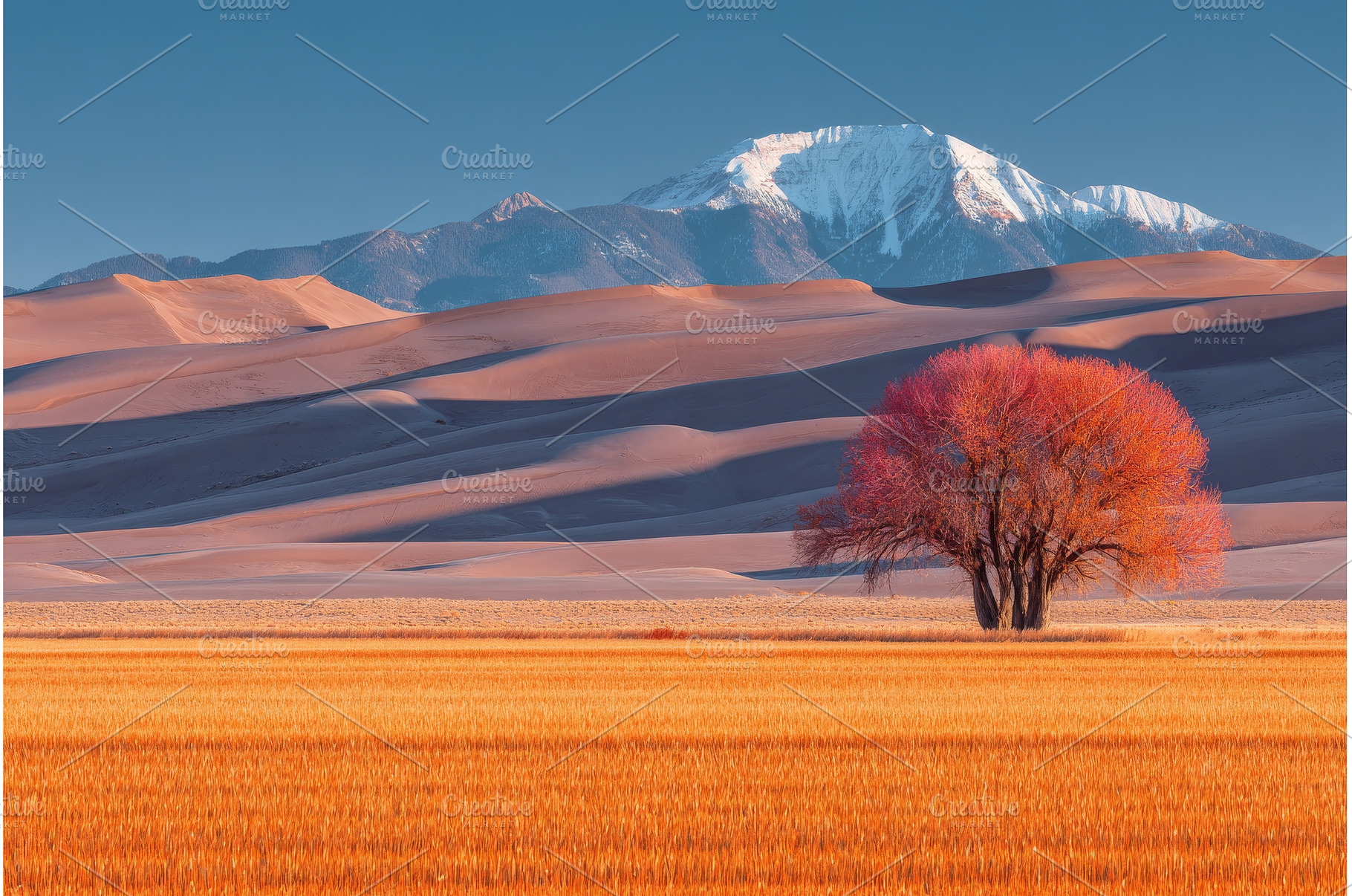 A sunset view of sand waves can be, a Nature Photo by ZinetroN