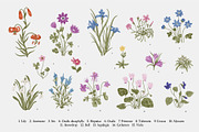 Mille-fleurs. Happy Easter, a Decorative Illustration by olga.korneeva (Thumbnail 3 of 15)