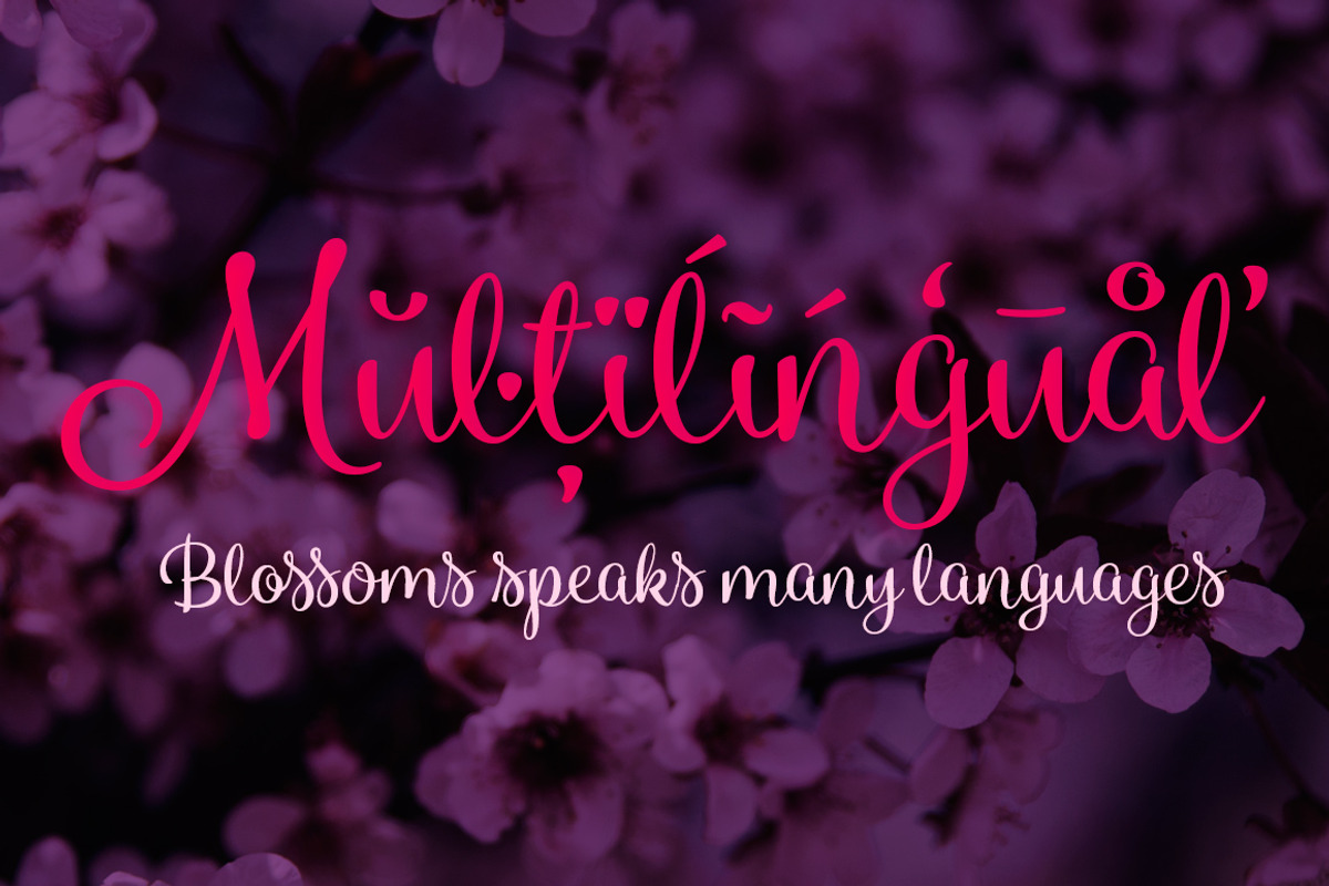 Blossoms INTRO SALE -45%, a Script Font by Fenotype (Photo 10 of 10)