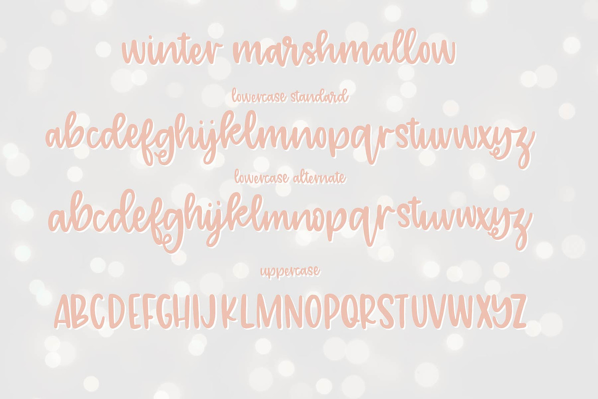 winter marshmallow + winter chai, a Script Font by OnTheSpotStudio (Photo 5 of 6)
