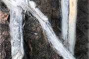 Alphabet Photography Letter N, an Industrial Photo by Artistic Letters (Thumbnail 3 of 7)