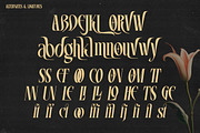 Vrassco - Modern Display Serif, a Serif Font by Qweera Studio (Thumbnail 11 of 12)