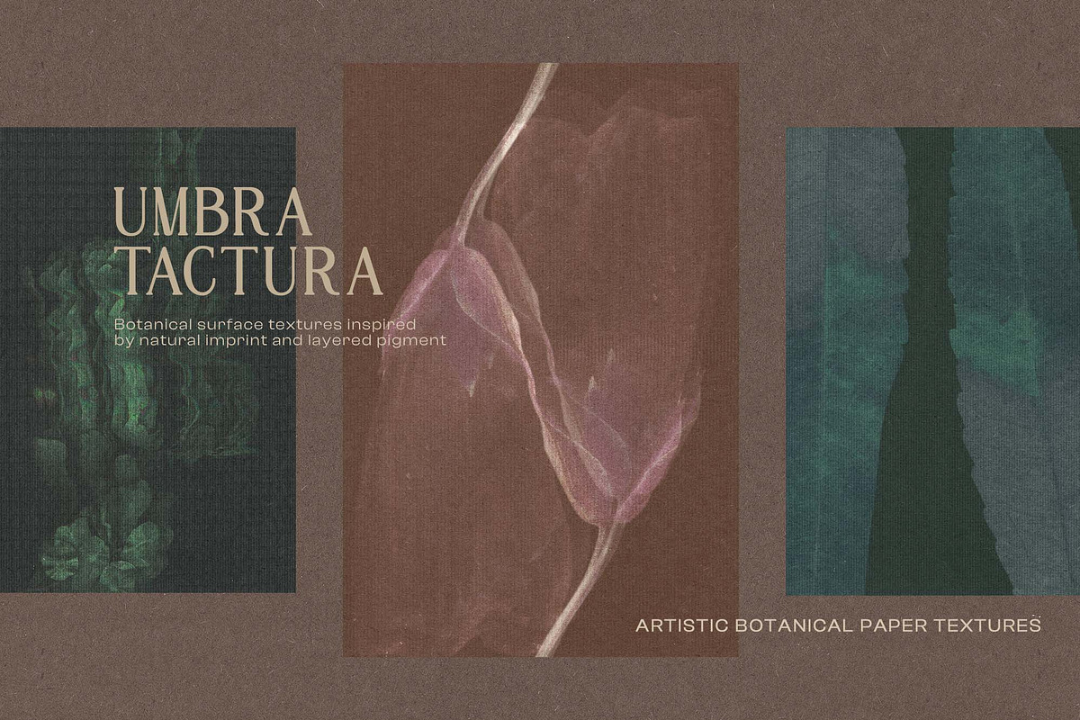 Umbra Tactura - Botanical Textures, a Background Graphic by DigARTbyHavroshka (Photo 2 of 11)