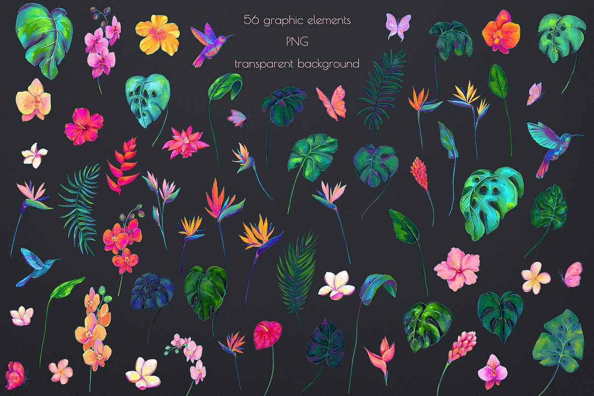 Birds of Paradise graphics/patterns, a Pattern Graphic by Salted Galaxy (Photo 12 of 14)