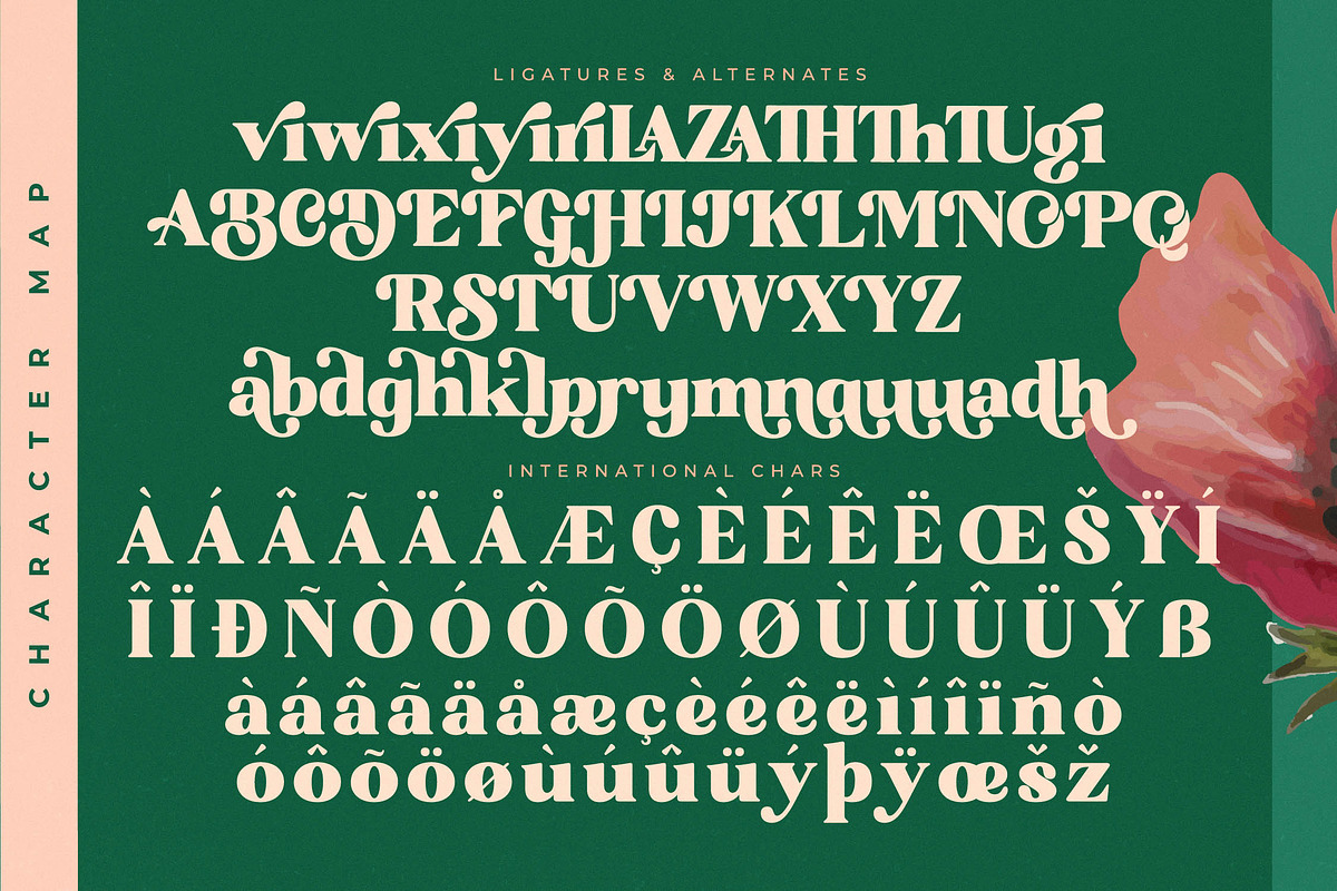Bright Sunlist Modern Vintage Serif, a Serif Font by Letterena Studios (Photo 14 of 15)