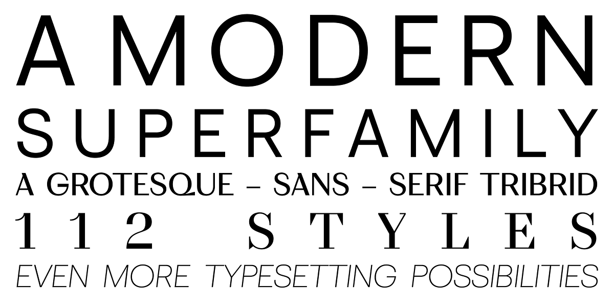 WT Volkolak, a Serif Font by Wraith Types (Photo 3 of 8)