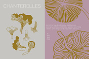 Magnificent Mushrooms, a Food Illustration by Annakniaz (Thumbnail 9 of 15)