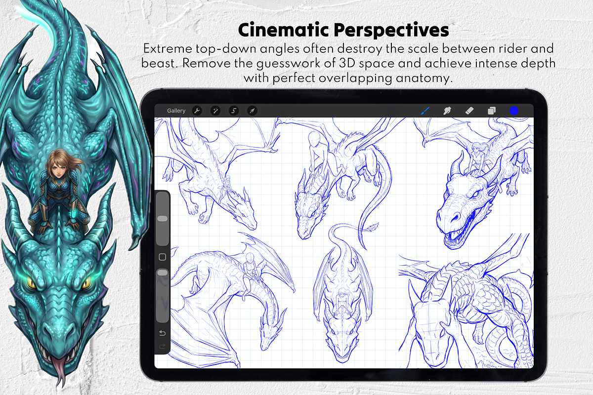 Dragon Rider Bases Procreate Stamps, a Brush Add-On by Selentaori Studio (Photo 7 of 11)