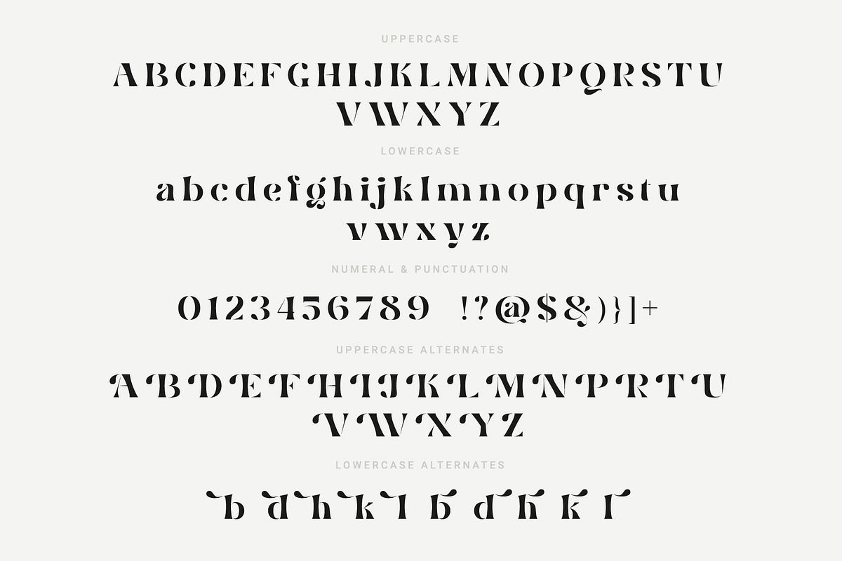 Smile Darling, a Serif Font by Prioritype Co (Photo 9 of 10)