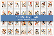 50 US State Birds Poster Bundle, a Decorative Illustration by Genius Graph (Thumbnail 1 of 6)