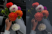 Black Tone Lightroom presets, a Preset Add-On by AAA Presets (Thumbnail 18 of 19)