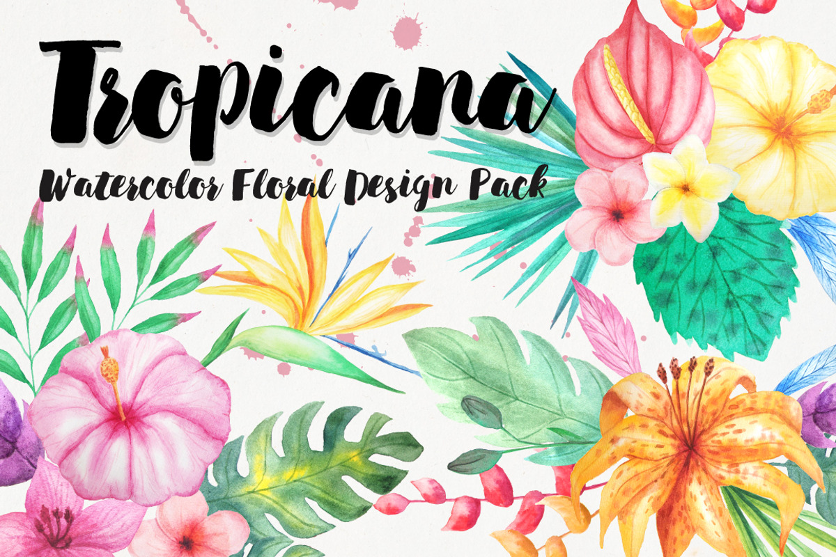 Watercolor Tropical Floral Pack, a Background Graphic by LarysaZabrotskaya (Photo 1 of 5)