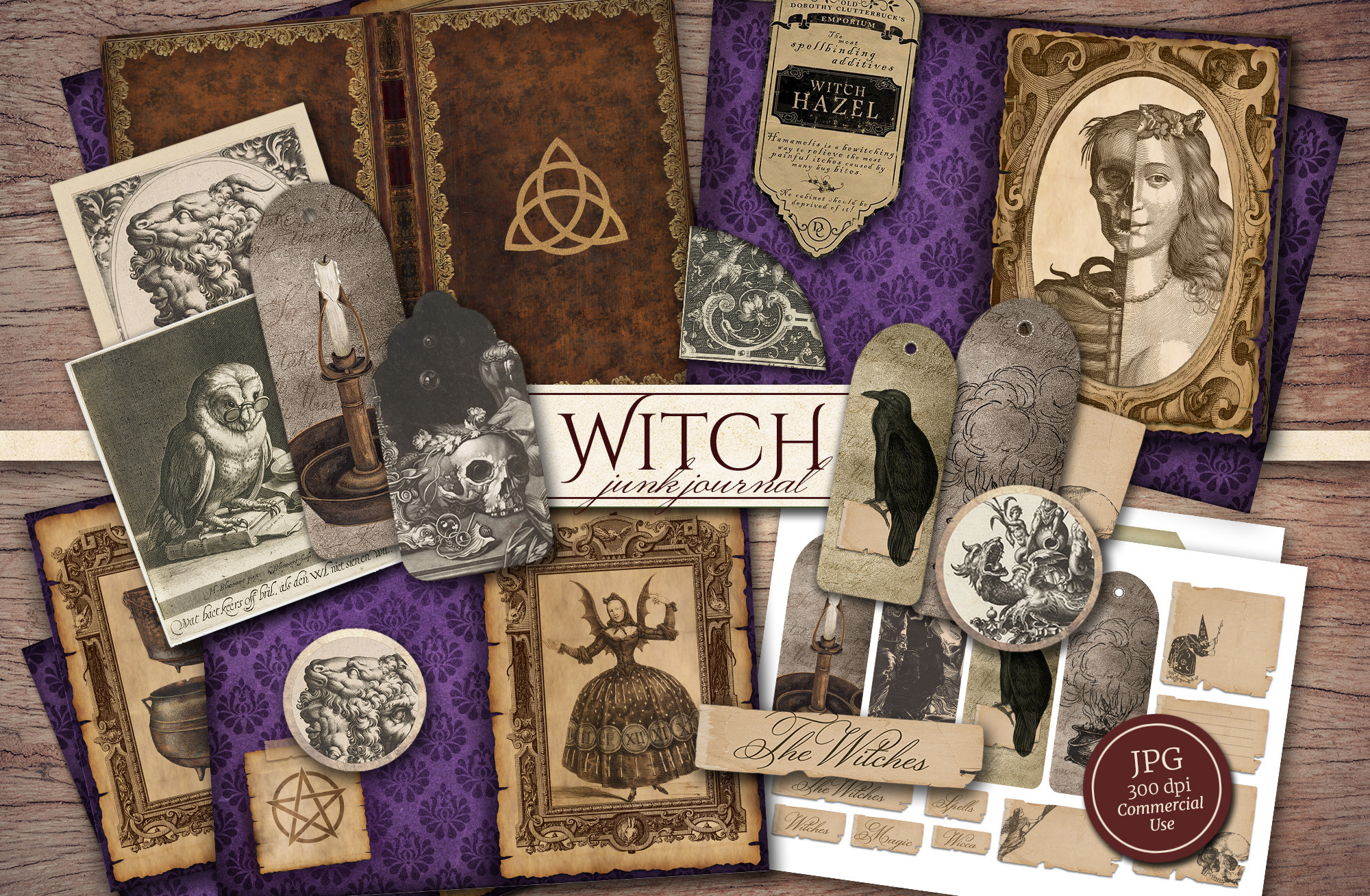 ジャンクジャーナル✥『眠り姫』 ジャンクジャーナル✥『眠り姫』