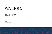 Luxury Brand - Branding Package, a Templates & Theme by Aurum Creative (Thumbnail 3 of 7)