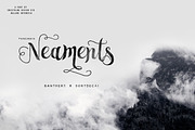 Whole Store Bundle | 95 OFF, a Serif Font by Swistblnk Std. (Thumbnail 39 of 60)