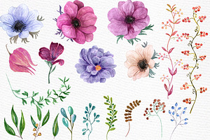 Watercolor Floral Elements