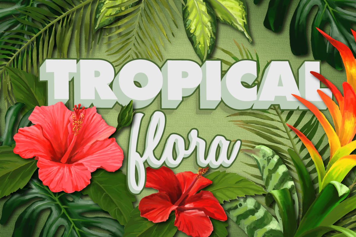 Tropical Flora, Vector & Raster Pack, an Illustration by PixelMoshpit (Photo 1 of 2)