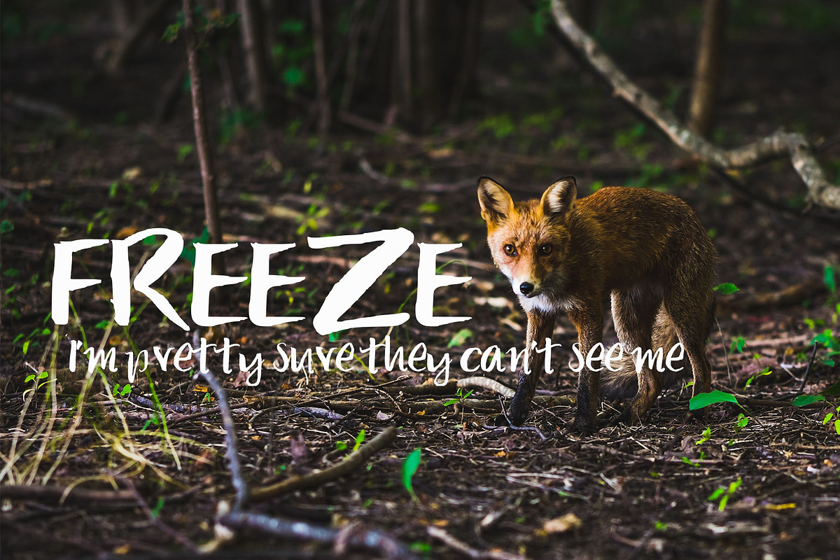 Font: ARC Brush Pen preview 3
