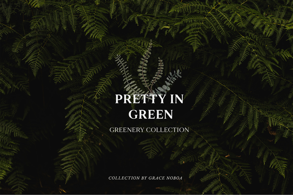 Watercolor greenery foliage set, an Illustration by Grace Noboa Illustrations (Photo 9 of 9)