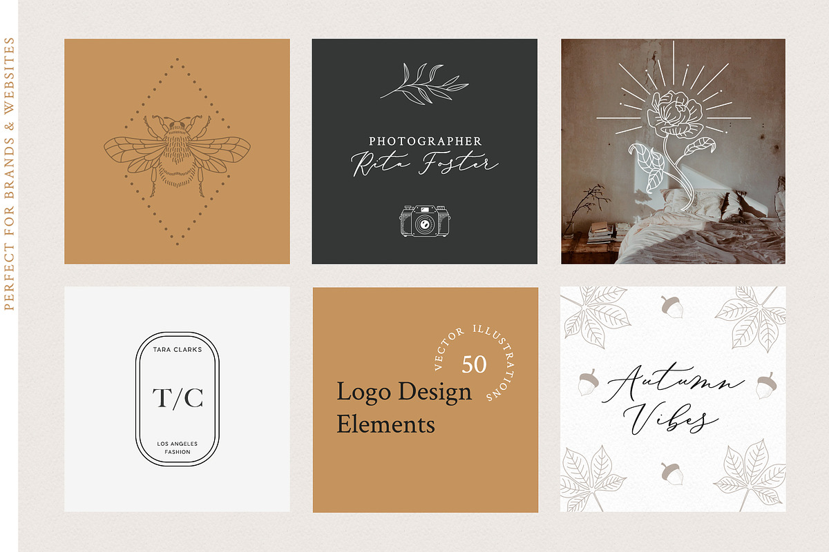Logo Elements Collection | 50 pieces, a Decorative Illustration by amber&ink (Photo 8 of 10)