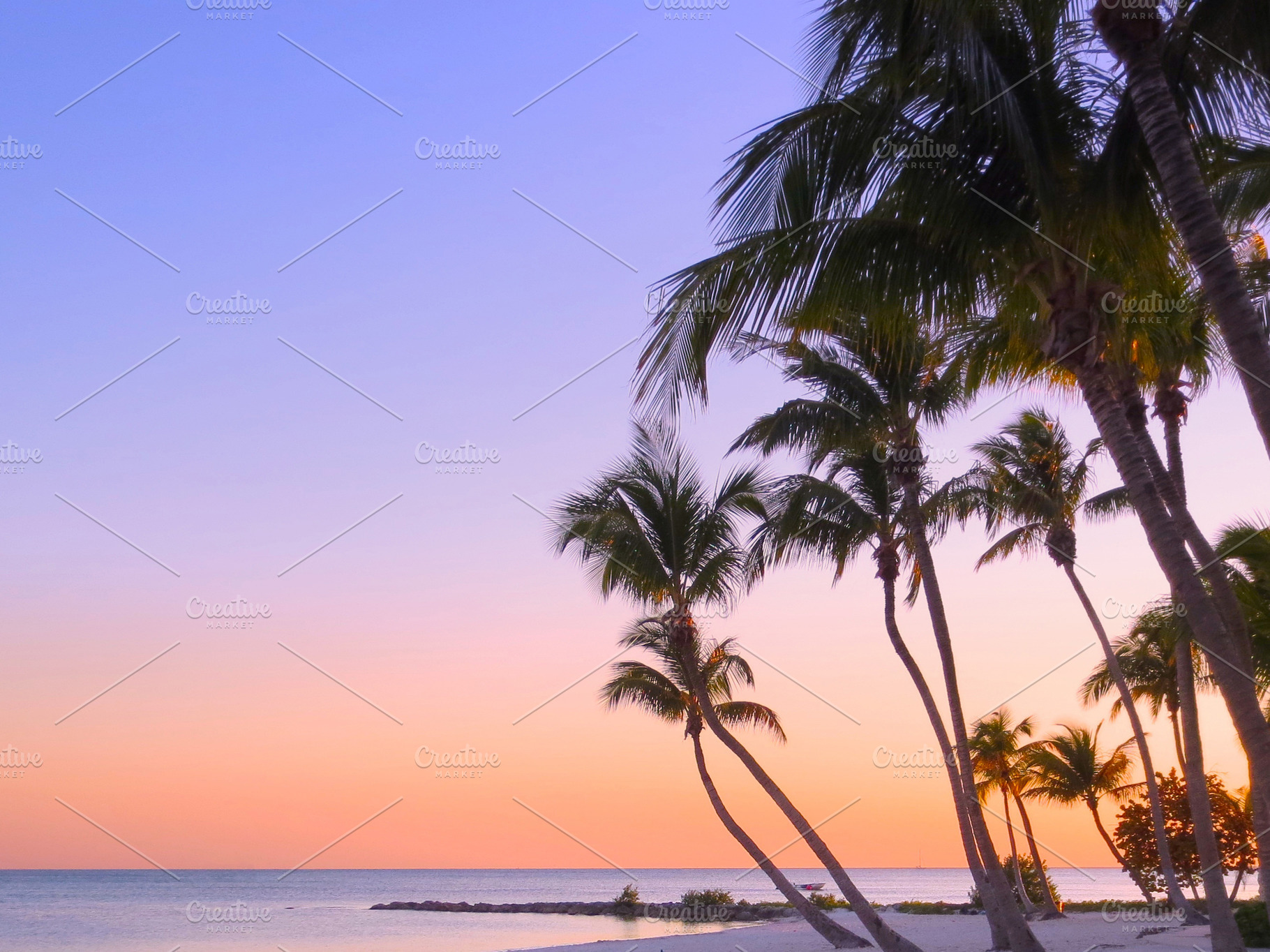 Tropical Beach with Vibrant Sunset, a Background Photo by kristiangallagher
