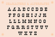 Vaquero • Western handdrawn typeface, a Handwritten Font by Pony Gold Studio (Thumbnail 2 of 4)