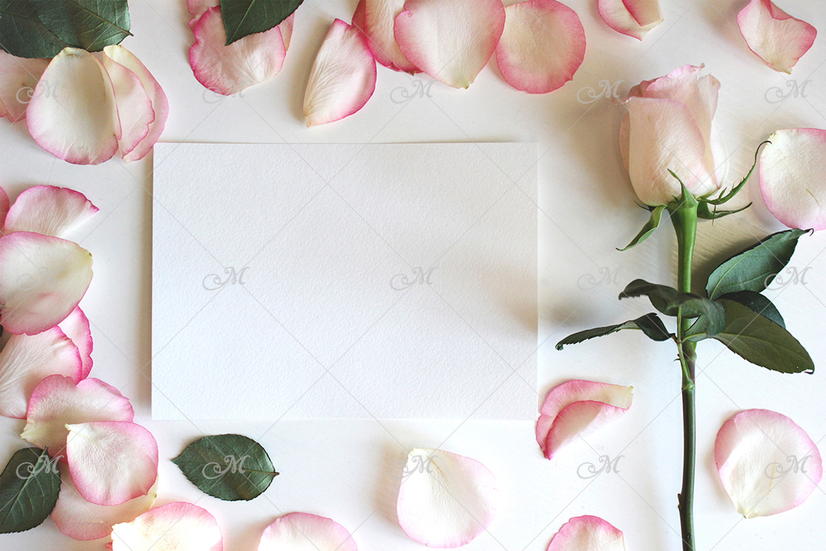 Rose & Petals Card Mockup. PSD+JPG, a Print Template by Maddy's Art & Mockups (Photo 1 of 2)