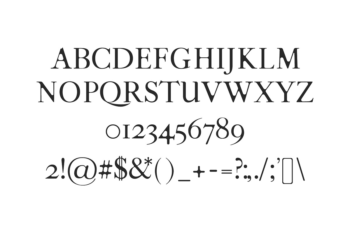 Moisses Serif Font Family Pack preview 2