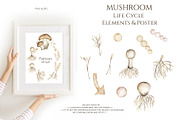 Watercolor Mushrooms Collection, an Education Illustration by MayaNavits (Thumbnail 3 of 14)