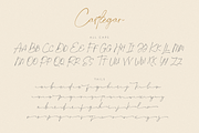 Castlegar Script, a Script Font by FactoryType Studio (Thumbnail 11 of 12)