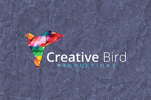 Creative Bird