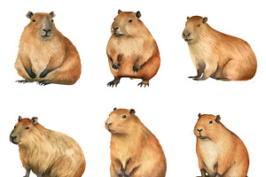 Watercolor Capybara Clipart Bundle