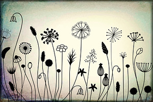 30 Floral Adobe Illustrator Brushes