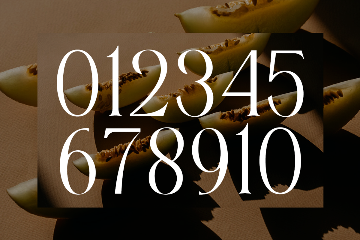 Charlotten - Elegant & Stylish Serif, a Serif Font by RockboyStd (Photo 10 of 12)