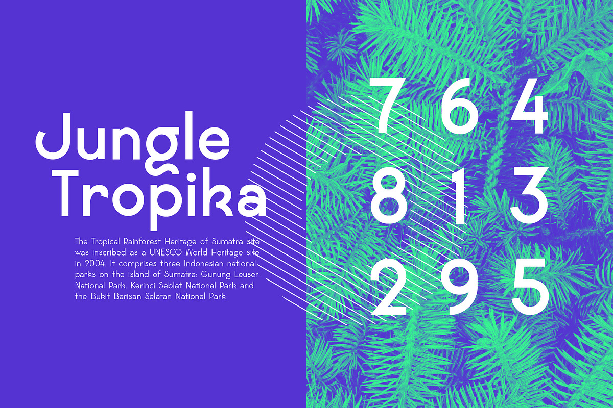 Maximo Nexa, a Sans Serif Font by Kaligra.co (Photo 13 of 15)