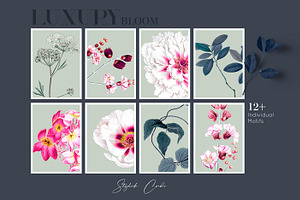 Luxury Bloom Pattern & Motifs Set!