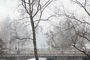 Winter wonderland stock photo containing snow and field, a Nature Photo by Justyna Ka