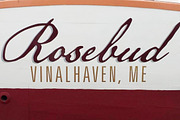 American Scribe, a Script Font by Three Islands Press (Thumbnail 5 of 5)