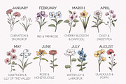 Birth Month Flowers Clipart Bundle, an Object Graphic by Mastilo Designs (Thumbnail 2 of 6)