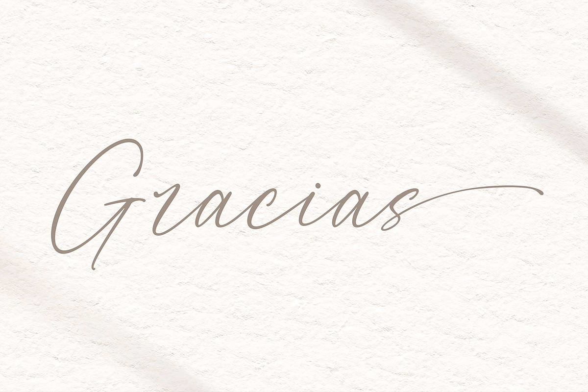 Miarlem - A Modern Calligraphy Font, a Script Font by Pen Culture (Photo 10 of 10)