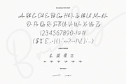 Brinley - Modern Handwritten Font, a Script Font by Flawless And Co (Thumbnail 8 of 10)