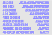 403 Zorn Variable Display Font, a Sans Serif Font by 403 Type Foundry (Thumbnail 7 of 16)
