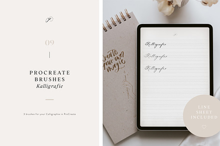 Procreate Brushes Calligraphy