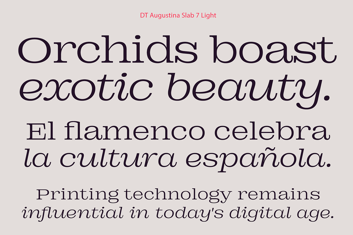 DT Augustina Slab 7 Subfamily, a Slab Serif Font by Deveze Type Foundry (Photo 5 of 31)