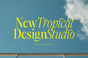 Dark Paradise - Modern Serif Font, a Serif Font by Tropical Type (Thumbnail 8 of 11)