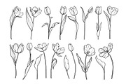 Tulip Line Art, Botanical SVG & PNG, an Object Graphic by ArtGiftsStudio (Thumbnail 3 of 6)