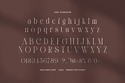 Milkon Elegant Serif Font, a Serif Font by Perfectype (Thumbnail 7 of 8)