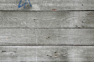 A close-up view of weathered wooden planks with a gray finish, featuring subtle, a Nature Photo by Textures & Backgrounds